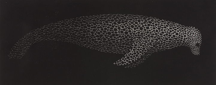 Kai_RITTUN--Skandinavian_Waves