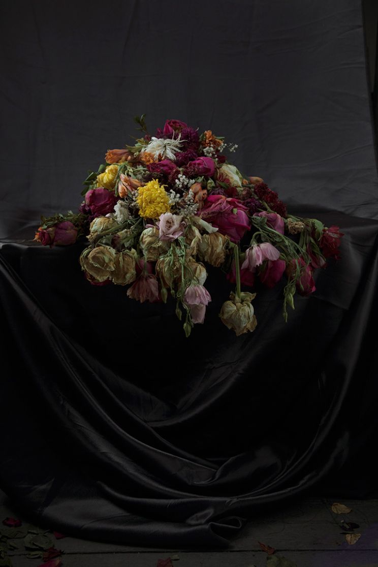 Flores Vitae / Flores Mortes: April 10, 2020, 6:01pm