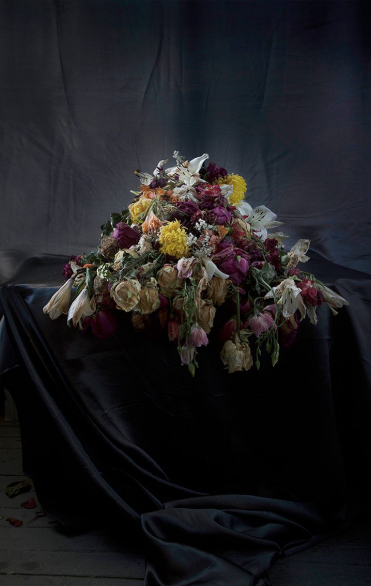Flores Vitae / Flores Mortes: April 17, 2020, 6:01pm
