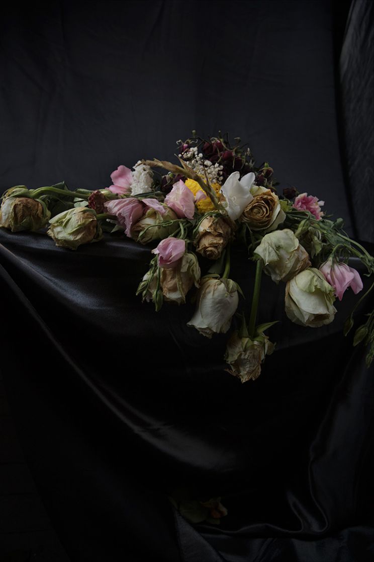 Flores Vitae / Flores Mortes: April 5, 2020, 4:32pm