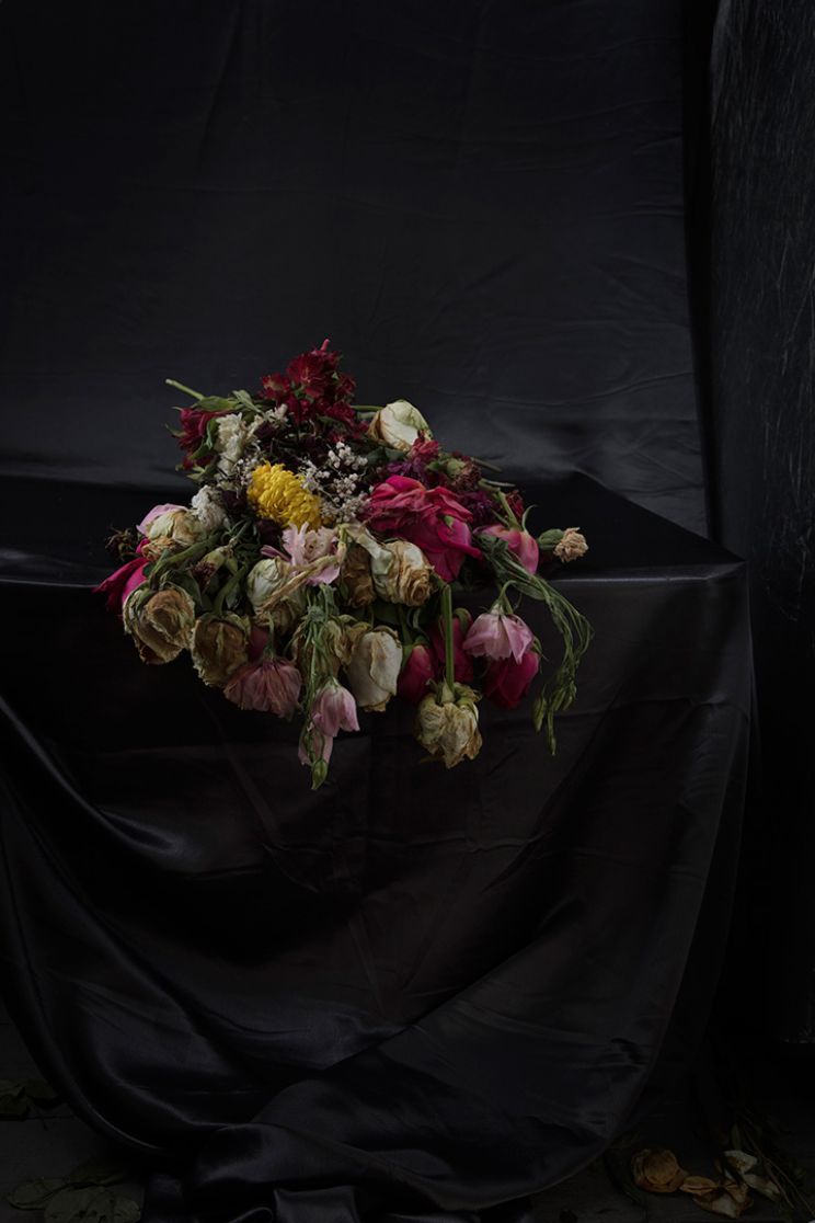 Flores Vitae / Flores Mortes: April 8, 2020, 2:17pm