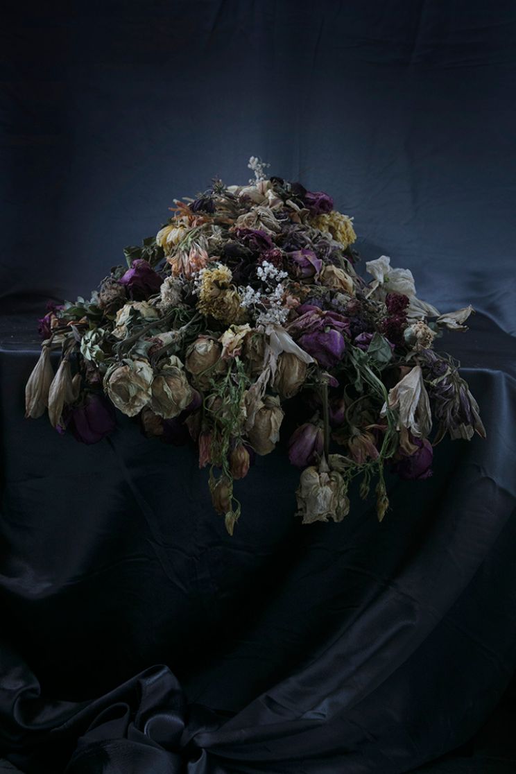 Flores Vitae / Flores Mortes: May 3, 2020, 1:59pm