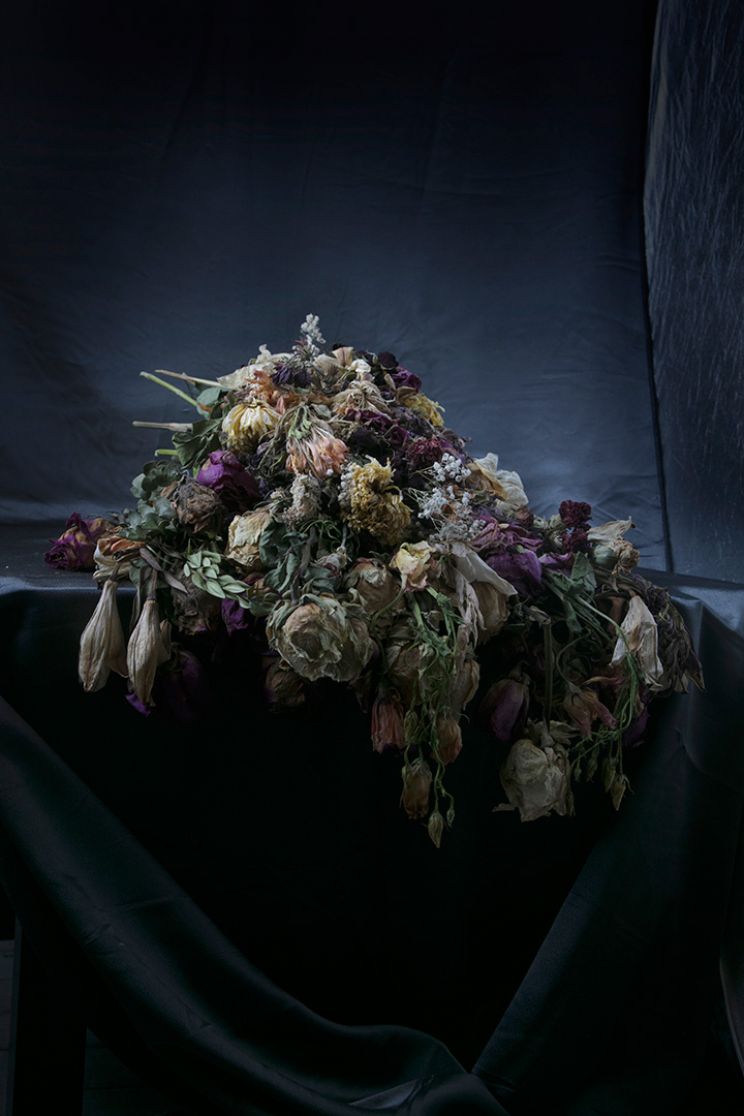 Flores Vitae / Flores Mortes: May 4, 2020, 2:28pm