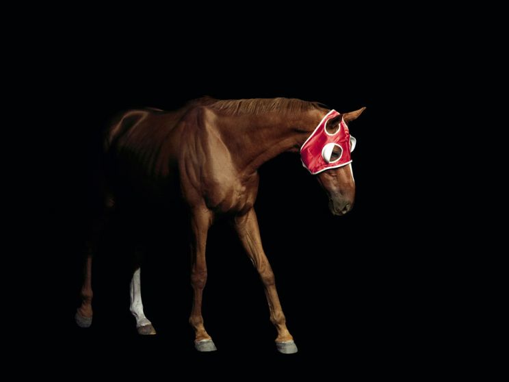 Pleasure Park Horse #1