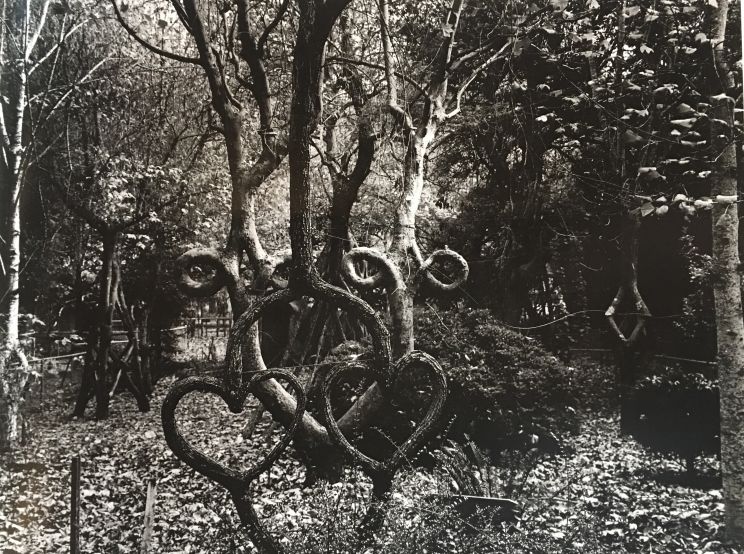 Double Heart Tree