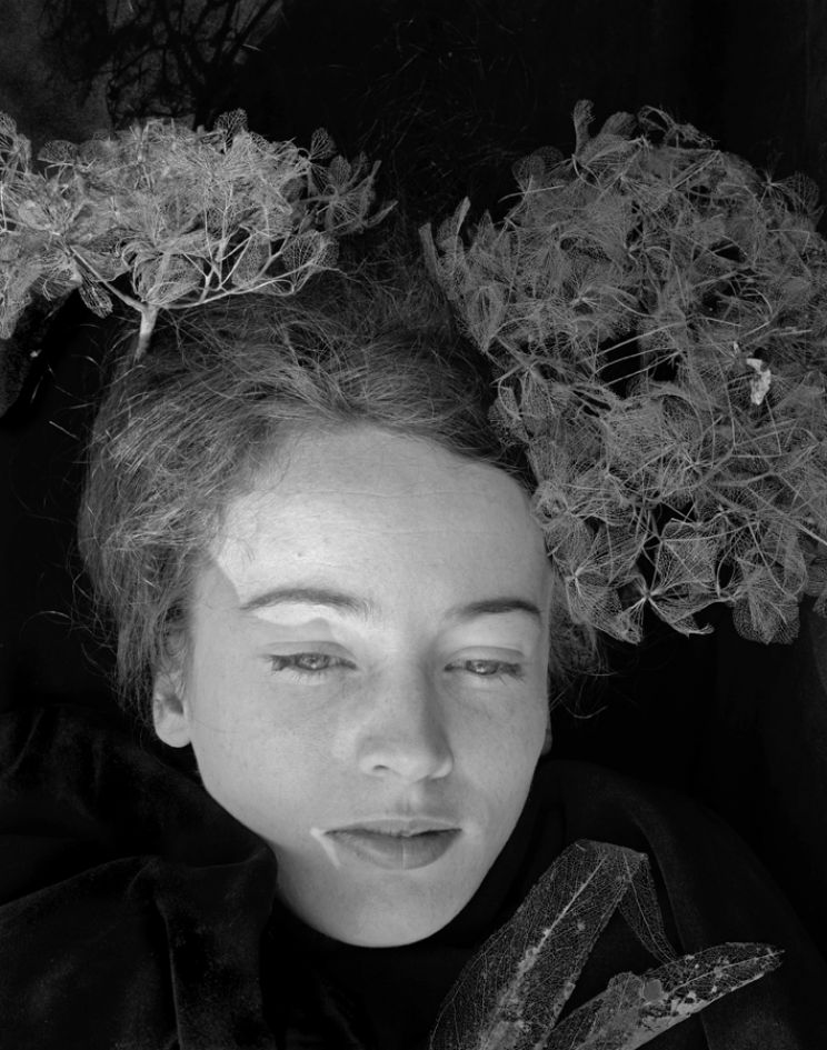 Linda Boyd
