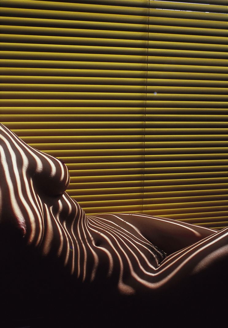 Zebra Nude with Venetian Blind