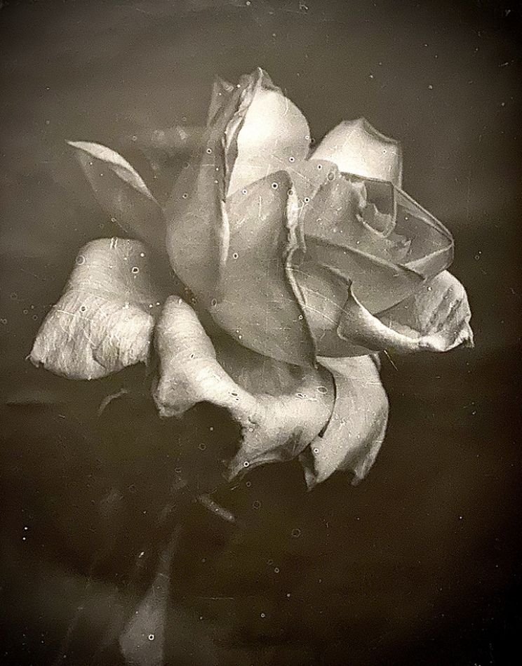Artists : Robert STIVERS