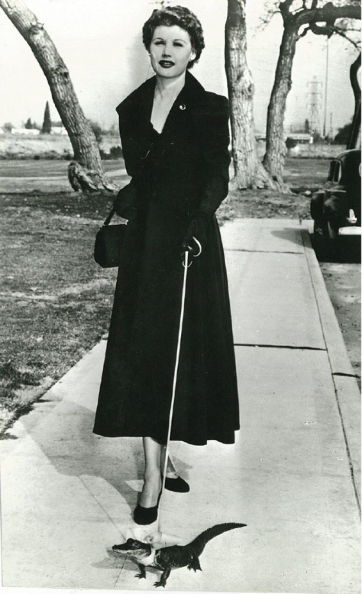 Anonymous, American