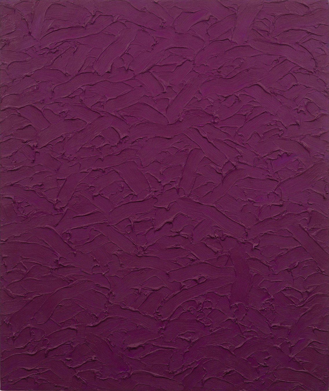 Absolute 55x46 Cobalt Violet