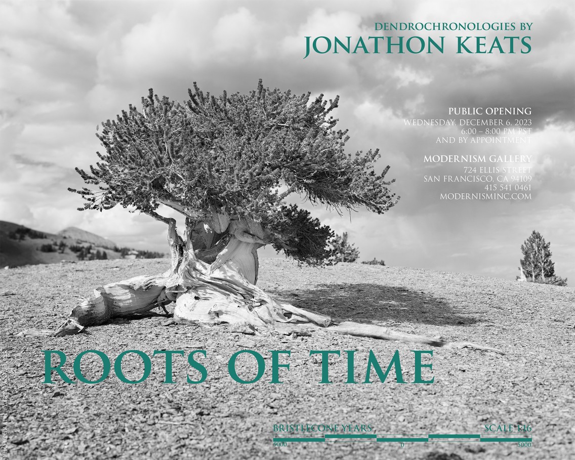 Roots of Time Exhibition poster