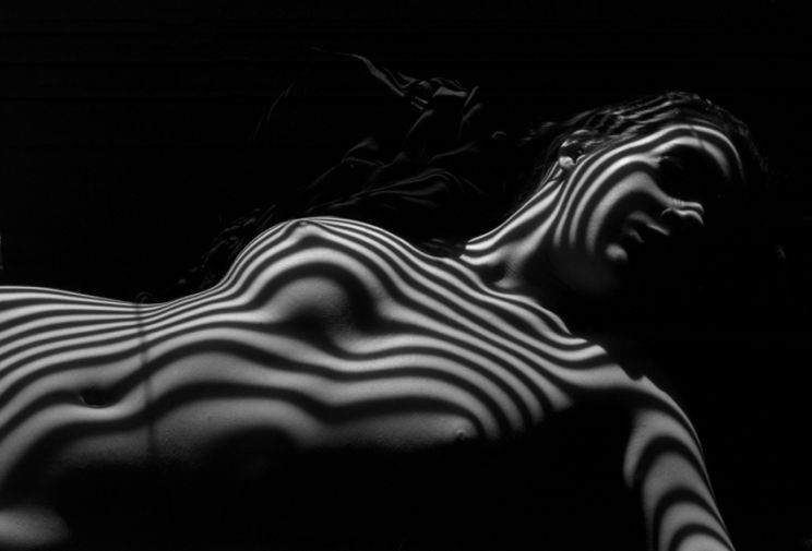 Zebra Nude and Head